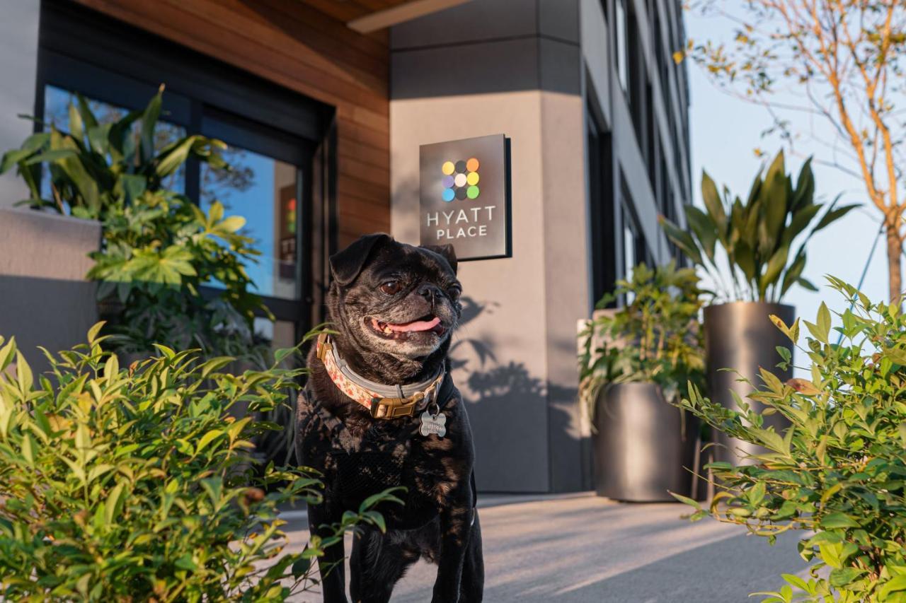 Hyatt Place Atlanta/Perimeter Center Санди Спрингс Екстериор снимка